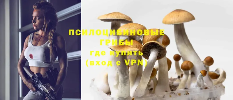 Галлюциногенные грибы Magic Shrooms  Котовск 